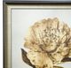 Stylecraft Beige/White Wall Art-1