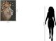 Classy Living Contemplative Majestic Floral Lion Canvas Wall Art-2