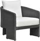 TOV Furniture Alexa Black/Cream White Linen/Rattan Outdoor Accent Chair-0