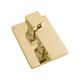 ZLINE Authograph Edition Polished Gold Bliss Shower System-2