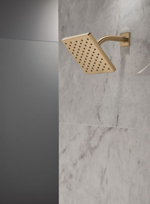 Delta Modern Champagne Bronze Single-Setting Shower Head-2