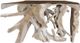 Classic Home Cypress Natural White Wash Root Console Table-4