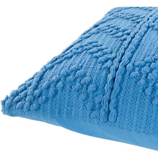Surya Merdo Sky Blue 20"x20" Toss Pillow with Polyester Insert-1