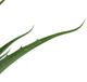 A & B Home Green Artificial Yucca Plant-1