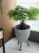 A & B Home Green 31.5" Fern Tree in Pot-5