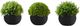 Monarch Specialties Inc. 3-piece 5" Artificial Grass with Black Pot-0
