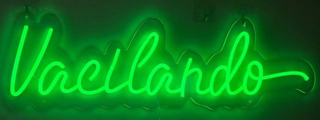 Classy Living Enlightened Vacilando LED Neon-1