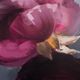 Uttermost® Plum Ranculus Framed Print Art -4