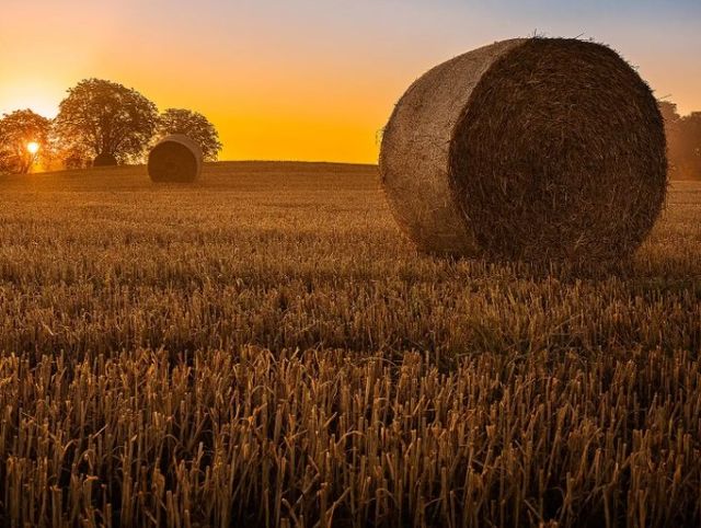Classy Art Hay Bale Wall Art-1