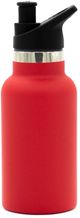 Chilly Moose 14oz Canoe Red Jasper Bottle-1