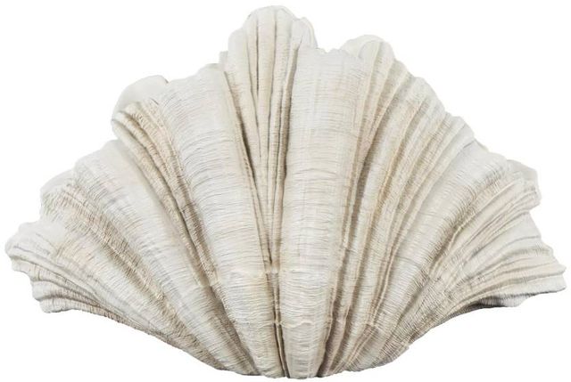 Deco Marche Cream Shell Sculpture-1