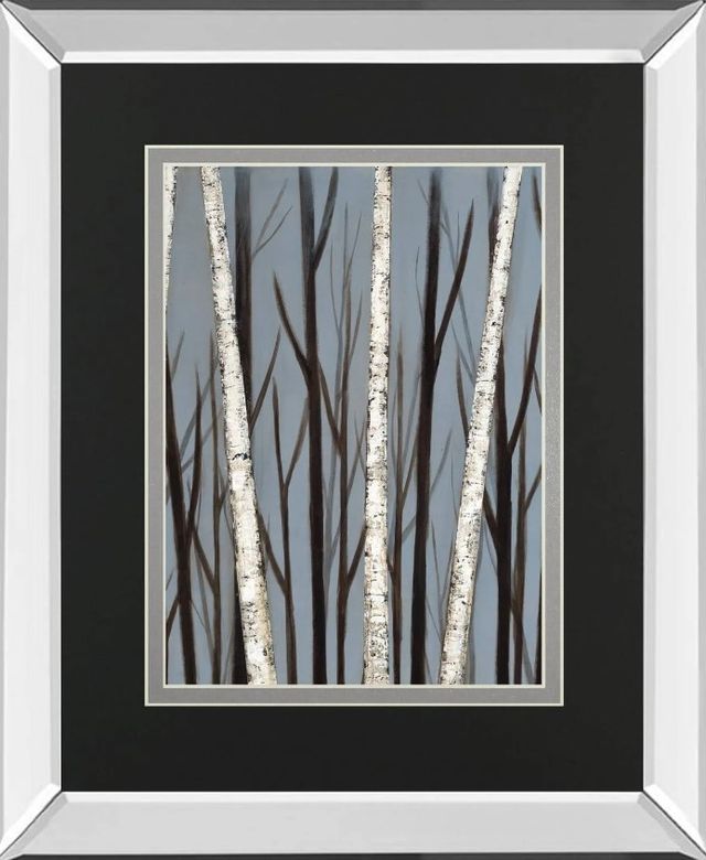 Classy Art Birch Shadows by Eve Mirrored Frame Wall Art-0