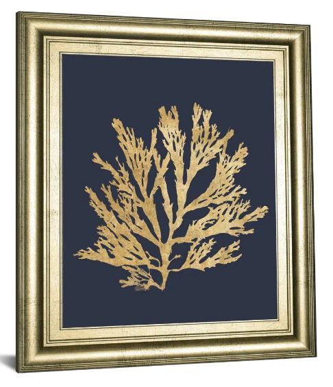 Classy Art Pacific Sea Mosses I Indigo by Wild Apple Portfolio Wall Art-1