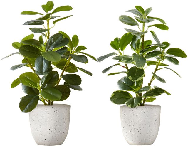 Monarch Specialties Inc. 2-piece 14" Artificial Plant with Pot-0