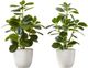 Monarch Specialties Inc. 2-piece 14" Artificial Plant with Pot-0