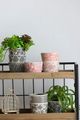 A & B Home 3-Piece Black Herb Pot Set-4
