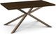Amisco Customizable Asterisk Birch 60" Rectangular Table with Decorative Bolts-0