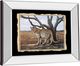 Classy Living Savannah Sentinel Wall Art-3