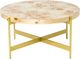 LR Home Brown Coffee Table with Gold Base-1