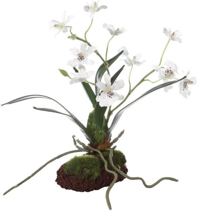 Uttermost® Clovis Green/White Orchid-4