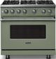 Viking® 5 Series 36" Eucalyptus Pro Style Gas (NG) Range with Polished Chrome Trim-3