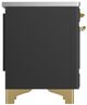 Ilve® Majestic III 40" Graphite Matte Pro Style Induction Range with Triple Glass Door and Brass Trim-2