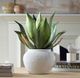 Uttermost® Tierra Agave Green/White Centerpiece with Vase-1