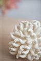A & B Home White Swaying Coral Decorative Object-5