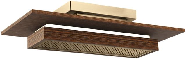 Brizo Frank Lloyd Wright® Brilliance® Luxe Gold®/Wood 21" Single-Function Raincan Shower Head with Integrated Lighting-0