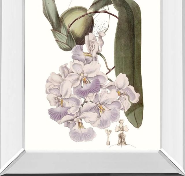 Classy Art Lavender Beauties V by Edwards Mirror Framed Wall Art-1