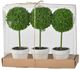 A & B Home 3-Piece Green Potted Boxwood Topiaries Set-0