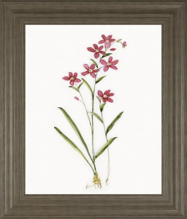 Classy Art Delicate Pink I by Sally Swatland Framed Wall Art-0
