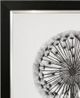Stylecraft Black/Light Gray/White Framed Print-1