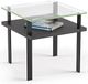 BDI Terrace™ 1156 Glass top End Table with Charcoal Stained Ash Base-1