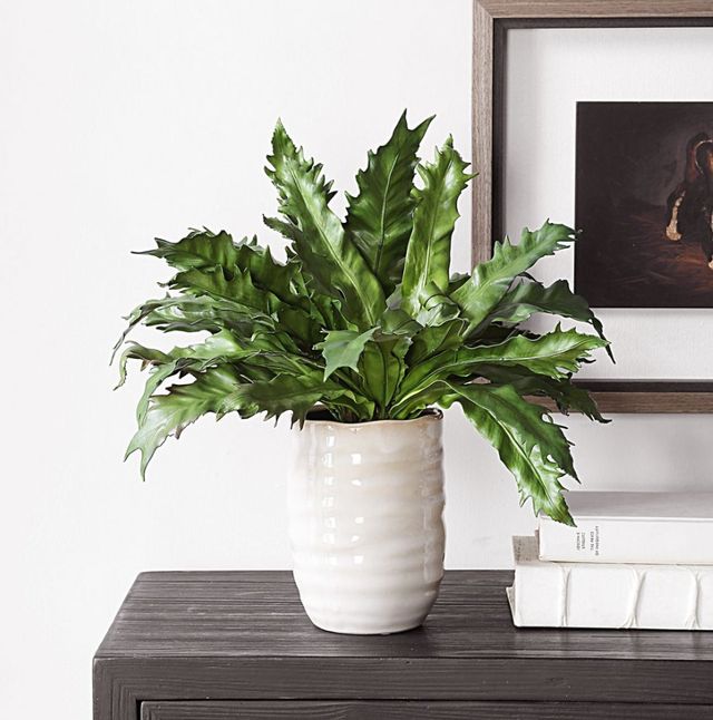 Uttermost® Verdure Fern Green Centerpiece in Glazed Pot-2