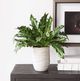 Uttermost® Verdure Fern Green Centerpiece in Glazed Pot-2