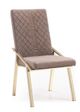 VIG Furniture Modrest Acton 2-Piece Brown/Gold Dining Chair Set-0