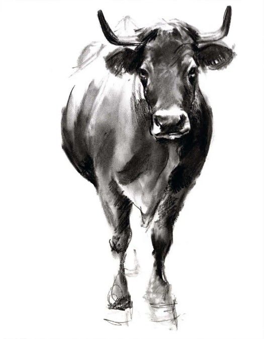Classy Art Charcoal Cattle II by Jennifer Paxton Parker Wall Art-1