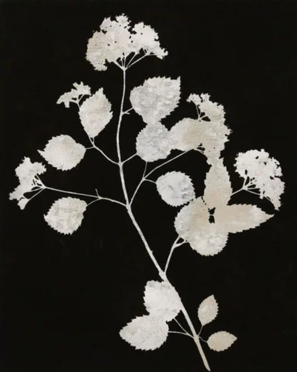 StyleCraft Nature White on Black IV Wall Art-2