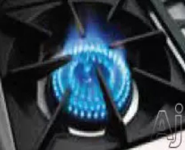 Capital Cooking Precision 48" Freestanding Gas Range -2