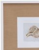 Bassett Mirror Neutral Shell Fresco Il Framed Print-1