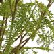 Uttermost® Woodland Fern Clear/Green Centerpiece-3