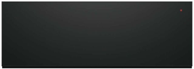 Fisher & Paykel Series 9 Minimal 30" Black Glass Warming Drawer-0