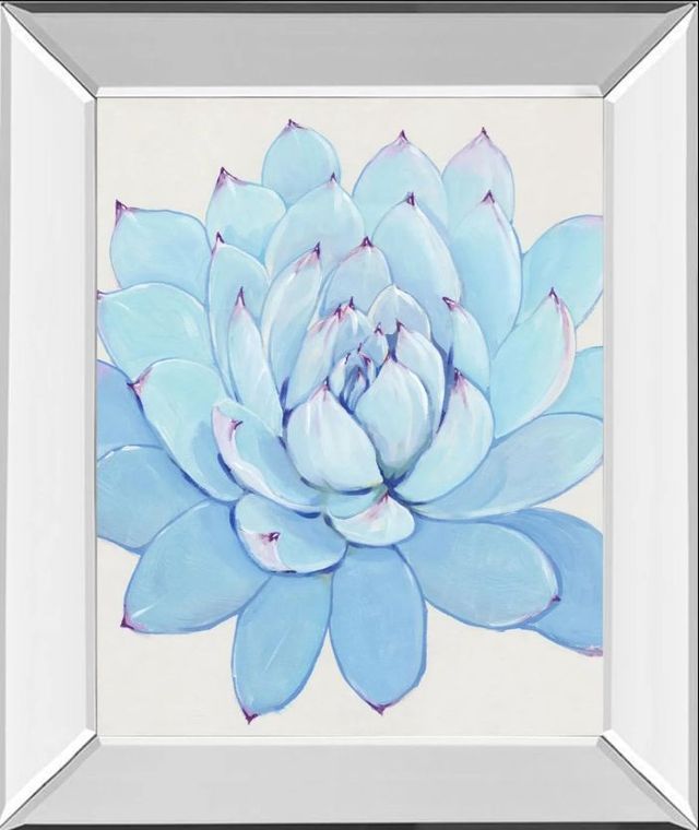 Classy Art Pastel Succulent II by Tim OToole Mirror Framed Wall Art-0
