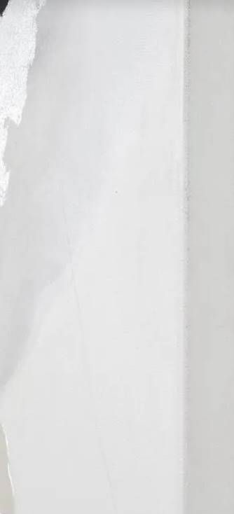 Renwil® Alasia Silver Wall Painting-3