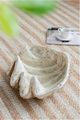 A & B Home Beige Medium Clam Shell Decorative Object-5