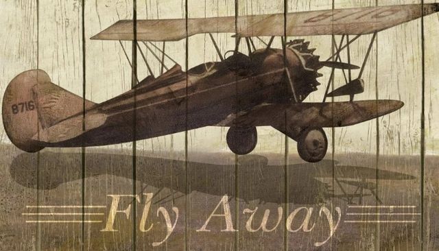 Classy Art Fly Away by Merri Pattinian Wall Art-1