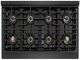ZLINE Paramount 48" 6.7 cu. ft. Black Satin Stainless Steel Paramount Dual Fuel Range with 8 Burner DuoPro™ Cooktop and Dual Ovens and Polished Gold Accents-4