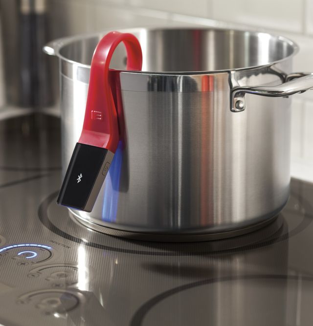 GE® Red Precision Cooking Probe-1
