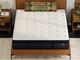 Balance Plush Queen Mattress-3